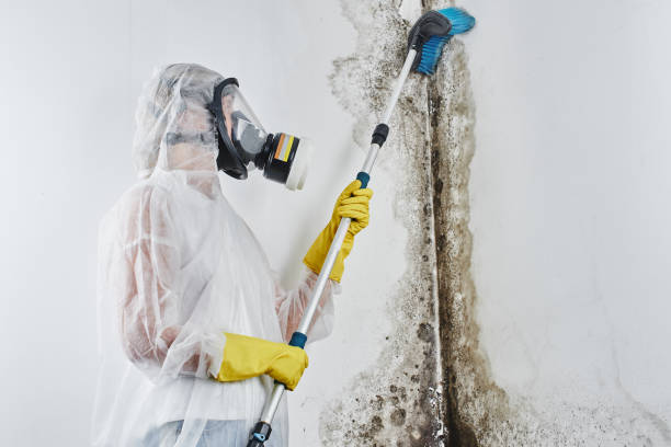Best Water Damage Restoration  in Cumberland Hill, RI