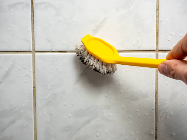 Best Mold Remediation  in Cumberland Hill, RI