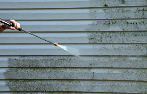 Mold Removal Process in Cumberland Hill, RI