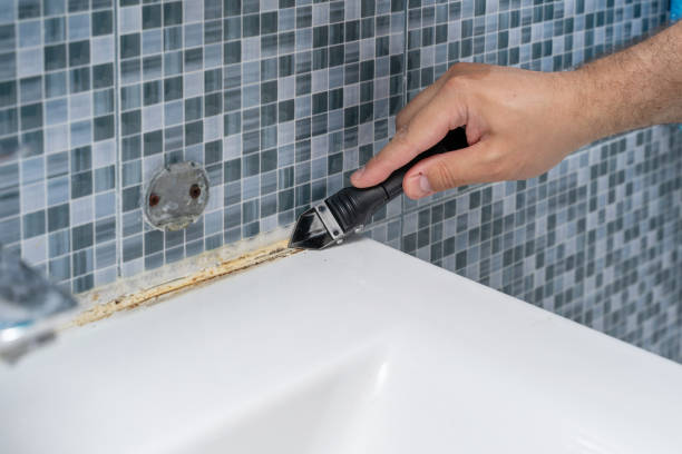 Mold Removal and Inspection in Cumberland Hill, RI