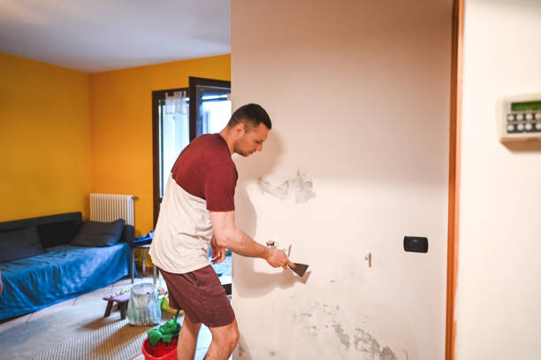 Best Best Mold Removal Companies  in Cumberland Hill, RI